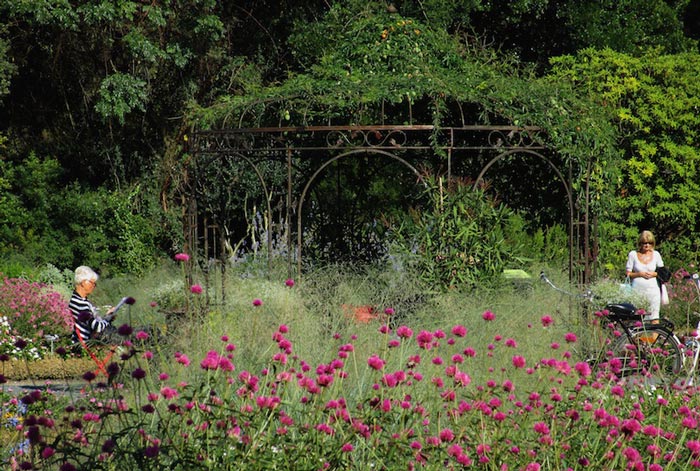 پارک سرطلایی