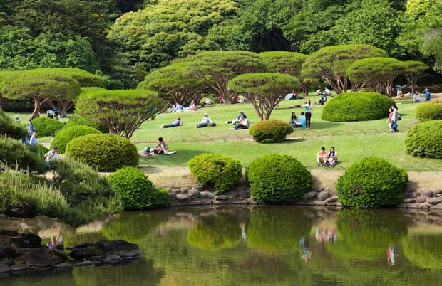 باغ ملی Shinjuku Gyoen