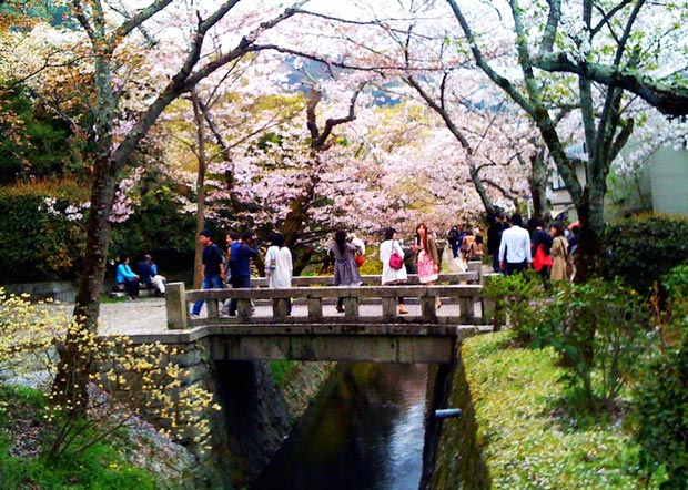 دیدنیهای شهر کیوتو ژاپن - محل پیاده روی فیلسوفان-philosophers_walk