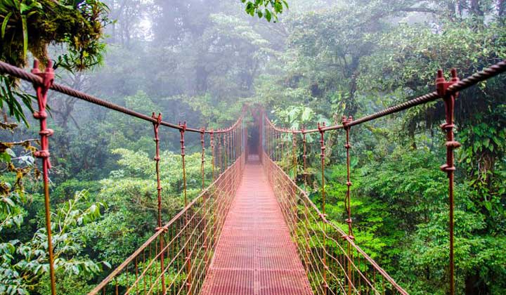 جاذبه های گردشگری طبیعی کاستاریکا - منطقه حفاظت شده مونته ورده-Monteverde-Reserve