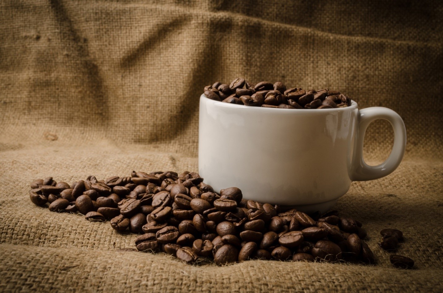 خرید قهوه فله به صرفه تر است یا بسته بندی شده؟ | لیست قیمت